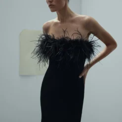 Robe Bustier Détail Plumes 13 Robe Bustier Détail Plumes -Promos Chaudine Magasin 57005154 99