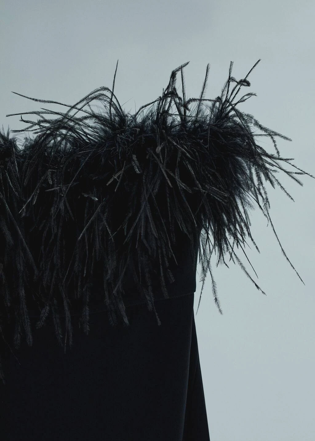 Robe Bustier Détail Plumes 8 Robe Bustier Détail Plumes – Image 8