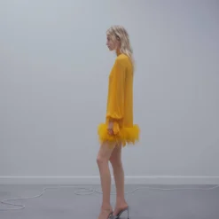 Robe Semi-transparente Plumes 12 Robe Semi-transparente Plumes -Promos Chaudine Magasin 57041175 12 D2