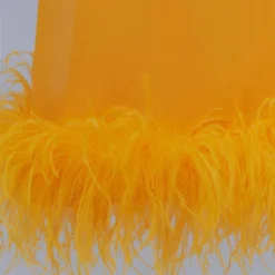 Robe Semi-transparente Plumes 14 Robe Semi-transparente Plumes -Promos Chaudine Magasin 57041175 12 D8