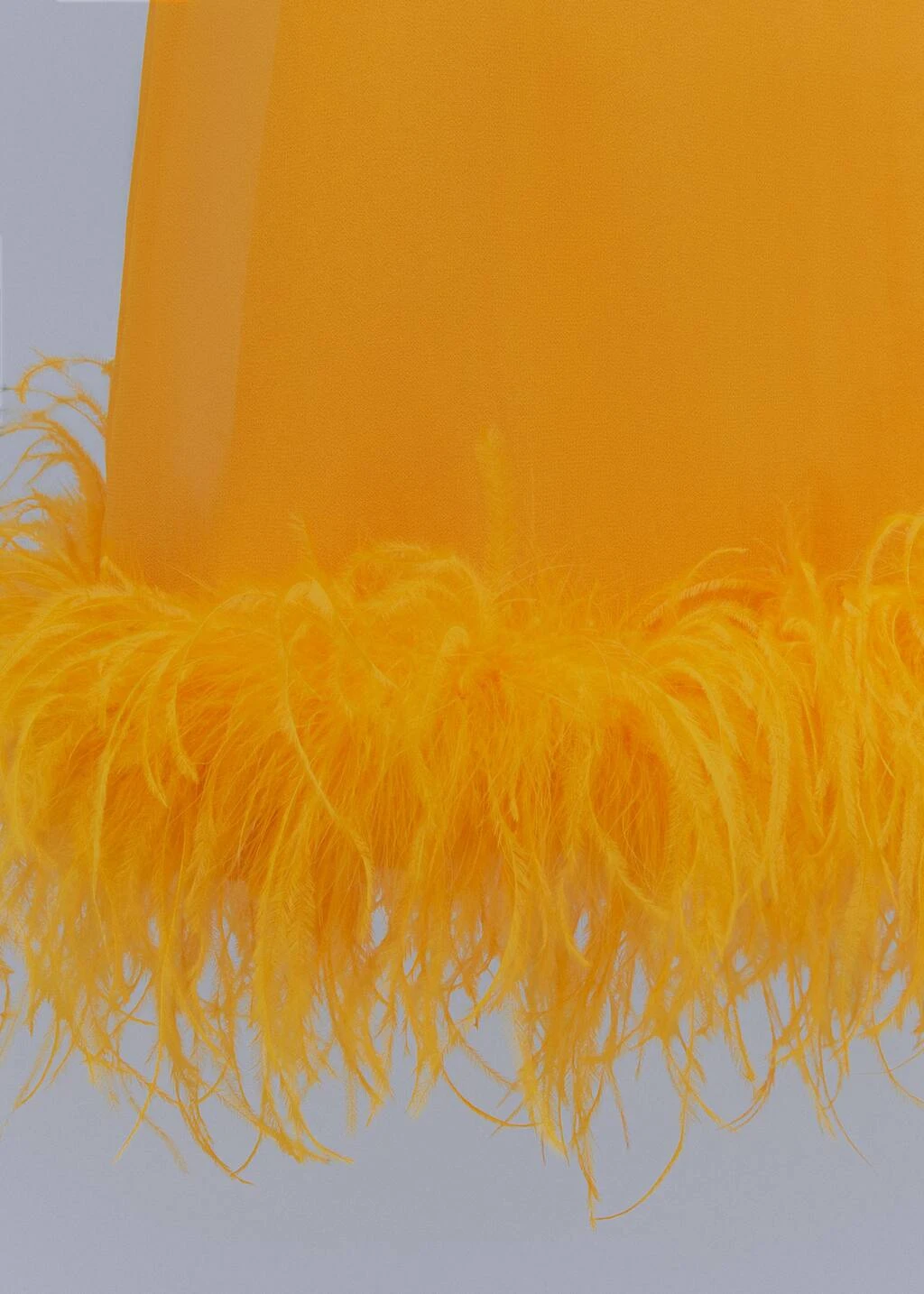 Robe Semi-transparente Plumes 7 Robe Semi-transparente Plumes – Image 7