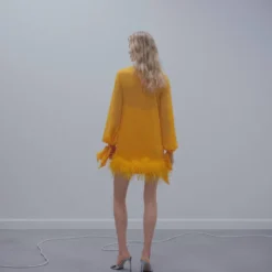 Robe Semi-transparente Plumes 10 Robe Semi-transparente Plumes -Promos Chaudine Magasin 57041175 12 R