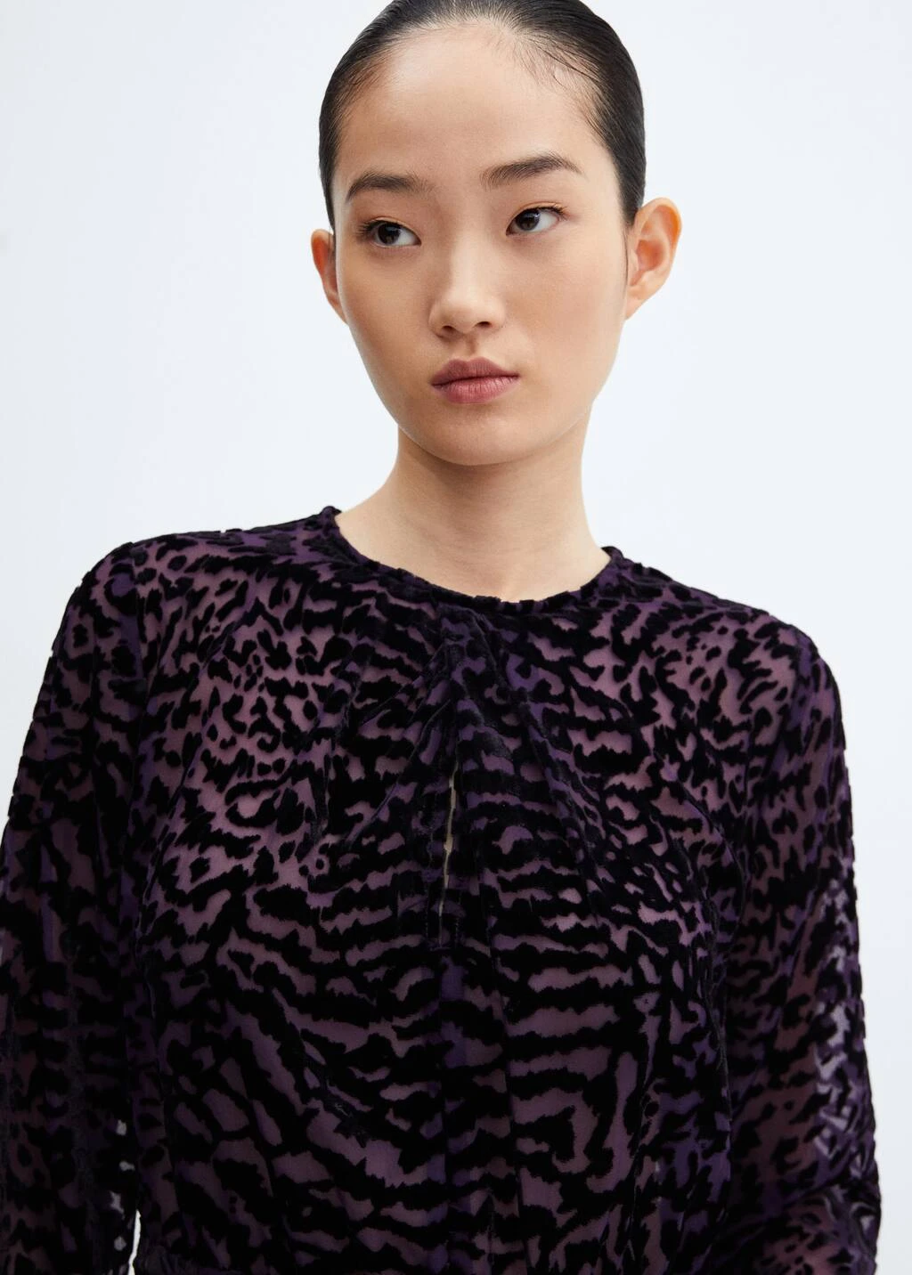 Robe Semi-transparente Velours 4 Robe Semi-transparente Velours – Image 4